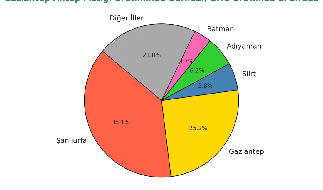 Türkiye İstatistik Kurumu (TÜİK) verilerine göre 2024 yılında Türkiye’de toplam